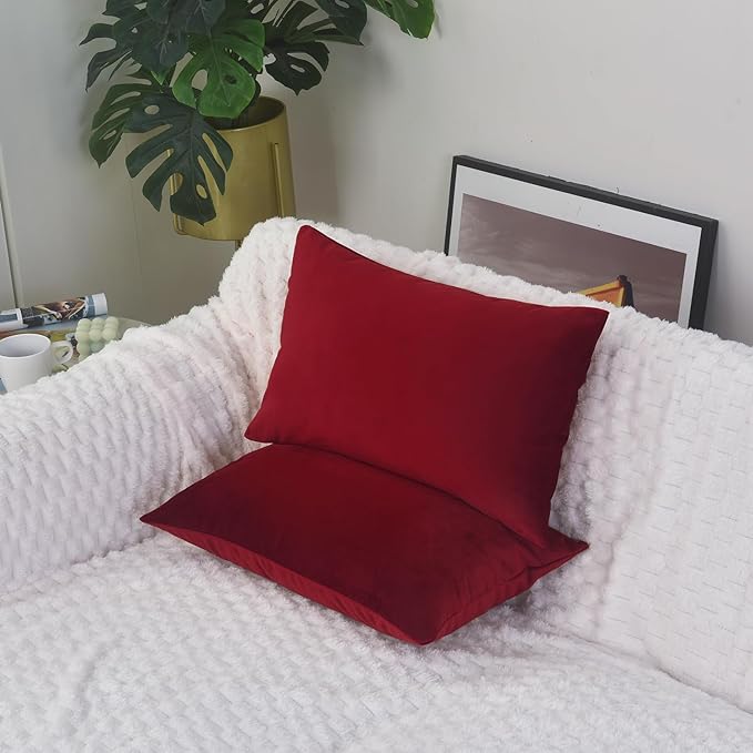 Luxury Velvet Cushion Cover | Soft Decorative Lumbar Pillow Cover for Sofa, Bed & Living Room | 30 x 51 cm